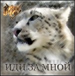 Irbis - 'Иди За Мной' (2009)