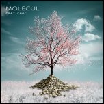 Molecul - 'Свет-Снег' (2010) [Single]