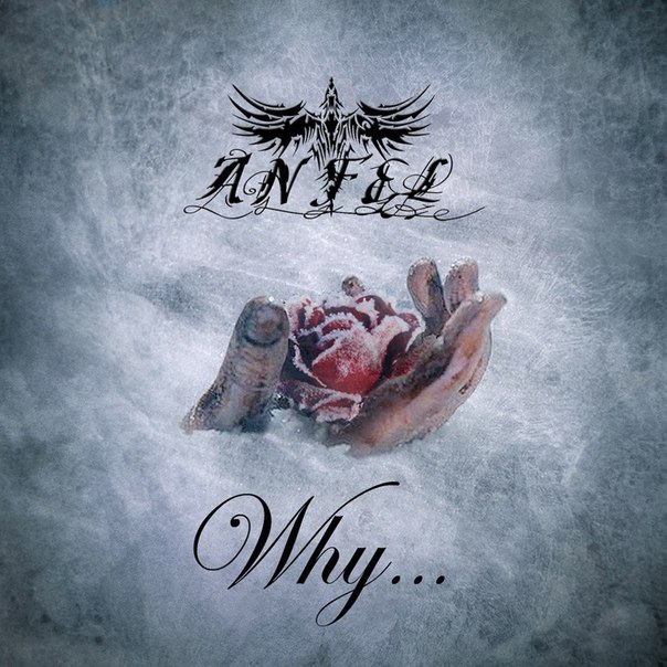 ANFEL - Why... (Internet Single, 2012) ANFEL - Why... (Internet Single, 2012)